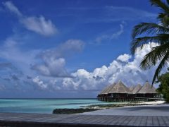 Urlaub auf den Malediven - Tipps für eine unvergessliche Reise