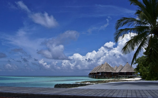 Urlaub auf den Malediven - Tipps für eine unvergessliche Reise
